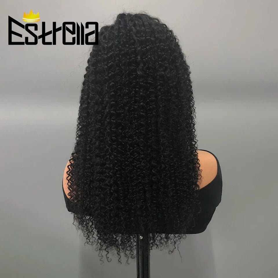 Afro Kinky Curly Human Hair Lace Frontal Wig 180% Density Brazilian 13x4 Curly Lace Front Human Hair Wigs For Women Pre Plucked