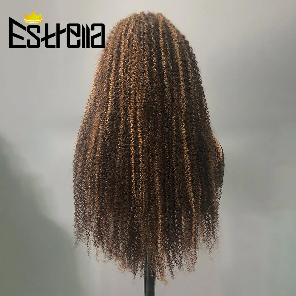 Afro Kinky Curly Human Hair Lace Frontal Wig 180% Density Brazilian 13x4 Curly Lace Front Human Hair Wigs For Women Pre Plucked
