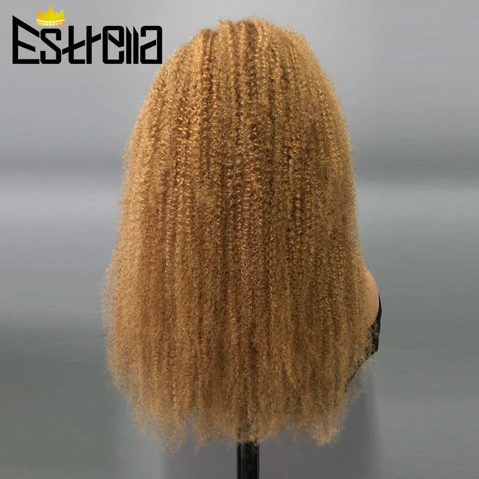 Afro Kinky Curly Human Hair Lace Frontal Wig 180% Density Brazilian 13x4 Curly Lace Front Human Hair Wigs For Women Pre Plucked